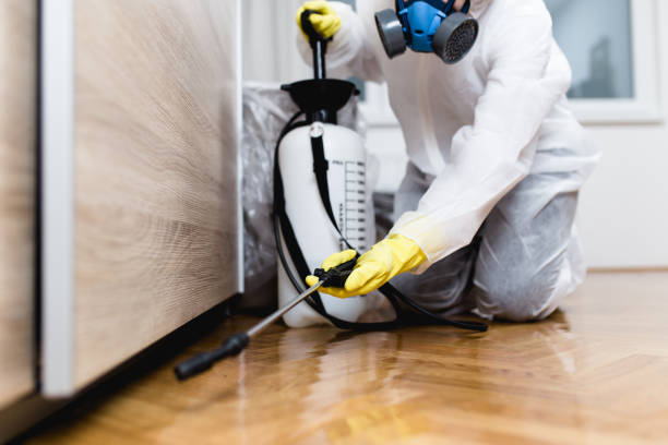 Best Pest Prevention Services  in Lock Haven, PA