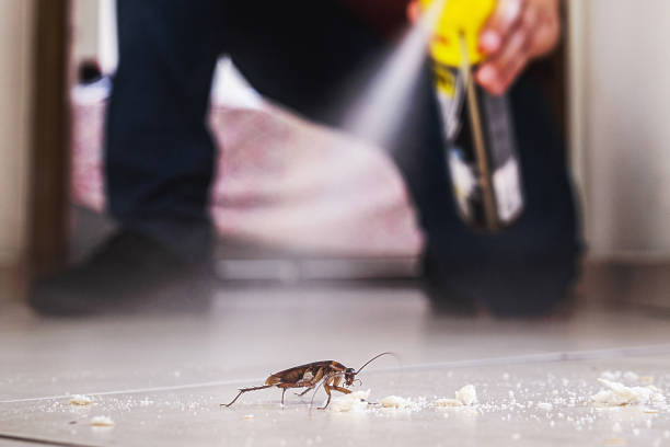 Best Cockroach Control Services  in Lock Haven, PA